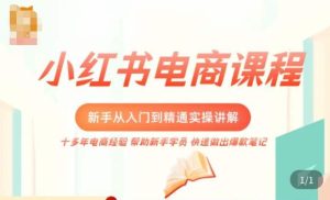 小红书电商新手入门到精通实操课,从入门到精通做爆款笔记,开店运营-瀚海资源库