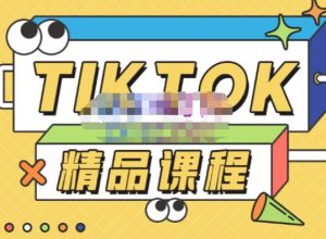 电商孵化中心·TikTok精品课程，教你玩转海外抖音，低成本创业，带您从0开始玩转TikTok-瀚海资源库