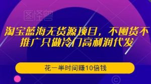 淘宝蓝海无货源项目,不囤货不推广只做冷门高利润代发,花一半时间赚10倍钱-瀚海资源库