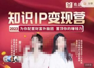 鹿盈盈-知识IP变现实操营,普通人可复制的知识产品落地实操课,带你打通知识IP变现底层逻辑-瀚海资源库