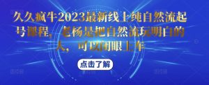 久久疯牛2023最新线上纯自然流起号课程，老杨是把自然流玩明白的人，可以闭眼上车-瀚海资源库