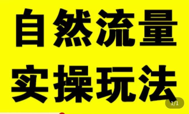 拼多多自然流量天花板，拼多多自然流的实操玩法，自然流量是怎么来的，如何开车带来自然流等知识-瀚海资源库