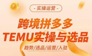 跨境拼多多TEMU实操与选品，​掌握平台运营方法技巧，选品避坑12条标准，爆款的底层思路等-瀚海资源库