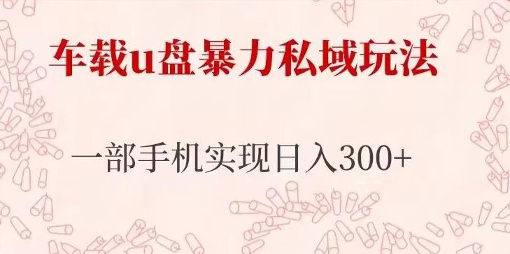 车载u盘暴力私域玩法，长期项目，仅需一部手机实现日入300+-瀚海资源库