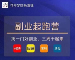 花爷-副业起跑营第2期,挑一门好副业,三周干起来(闲鱼|小红书|量化|套利)-瀚海资源库