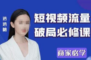 2023最新透糖短视频流量破局必修课——商家必学-瀚海资源库