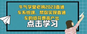 牛气学堂老衲2023直通车系统课,帮你实现直通车的低花费高产出-瀚海资源库