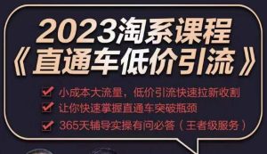 2023直通车低价引流玩法课程，小成本大流量，低价引流快速拉新收割，让你快速掌握直通车突破瓶颈-瀚海资源库