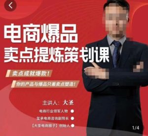 大圣·电商标品爆款卖点策划课，标品卖点成就爆款，可落地卖点提炼课-瀚海资源库