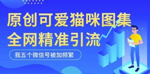 黑科技纯原创可爱猫咪图片，全网精准引流，实操5个VX号被加频繁-瀚海资源库