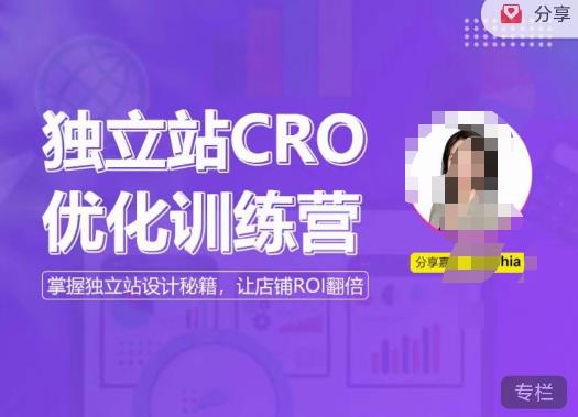 独立站CRO优化训练营，掌握独立站设计秘籍，打造高转化的独立站，让店铺ROI翻倍-瀚海资源库