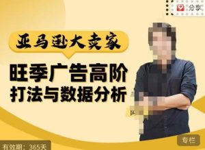阿甘·亚马逊大卖家广告高阶打法与数据分析,走出传统广告误区;揭秘大卖惯用打法;数据驱动广告决策-瀚海资源库