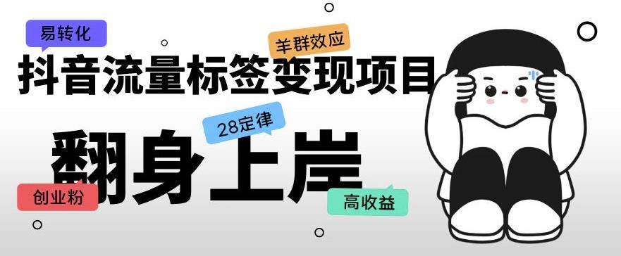 抖音流量标签变现项目，抖音创业粉轻松转化，单价高收益简单-瀚海资源库