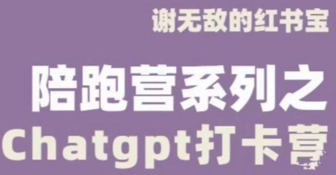 谢无敌ChatGPT打卡营，教你更好地使用ChatGPT来提高工作效率-瀚海资源库