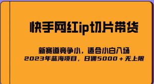 2023爆火的快手网红IP切片，号称日佣5000＋的蓝海项目，二驴的独家授权-瀚海资源库