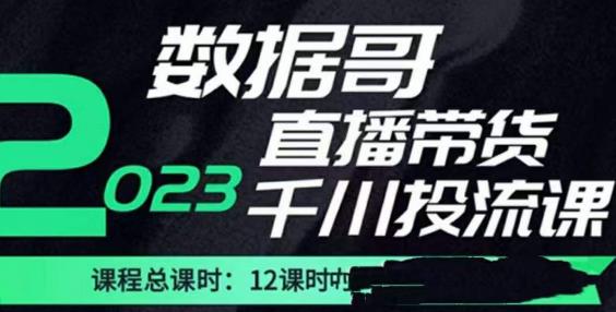 数据哥2023直播电商巨量千川付费投流实操课，快速掌握直播带货运营投放策略-瀚海资源库