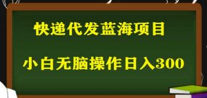 2023最新蓝海快递代发项目，小白零成本照抄也能日入300+-瀚海资源库