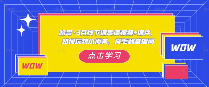 哈哥·3月线下实操课高清视频+课件，如何玩转小而美，高毛利直播间-瀚海资源库