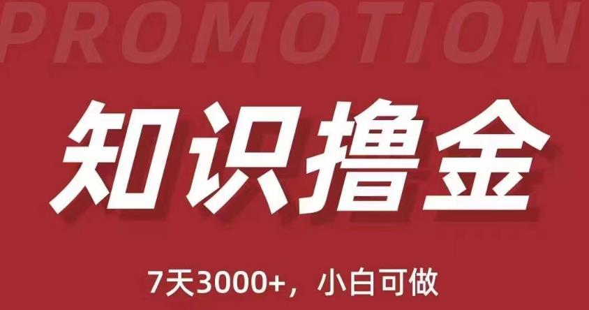 抖音知识撸金项目：简单粗暴日入1000+执行力强当天见收益(教程+资料)-瀚海资源库