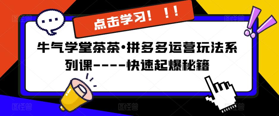 牛气学堂茶茶•拼多多运营玩法系列课—-快速起爆秘籍【更新】-瀚海资源库