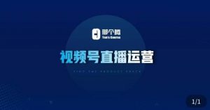 那个腾·视频号直播运营，​视频号直播推流逻辑/流量渠道解析/直播起号攻略/直播实操技巧-瀚海资源库