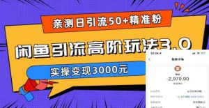 亲测日引50+精准粉，闲鱼引流高阶玩法3.0，实操变现3000元【揭秘】-瀚海资源库