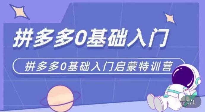 拼多多运营0-1实操特训营，拼多多0基础入门，从基础到进阶的可实操玩法-瀚海资源库