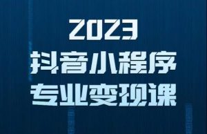 2023年抖音小程序变现保姆级教程，0粉丝新号，无需实名，3天起号，第1条视频就有收入-瀚海资源库