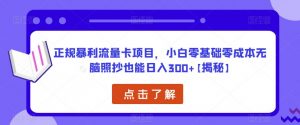 正规暴利流量卡项目，小白零基础零成本无脑照抄也能日入300+【揭秘】-瀚海资源库