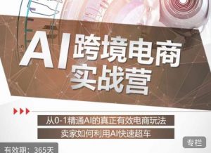 白龙老师·AI跨境电商实战营：从0-1精通Al的真正有效电商玩法，卖家如何利用Al快速超车-瀚海资源库