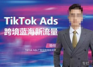 稳哥·如何投出高ROI的TikTok广告，开拓独立站卖家流量新蓝海-瀚海资源库
