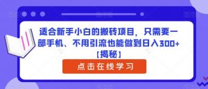 适合新手小白的搬砖项目，只需要一部手机、不用引流也能做到日入300+【揭秘】-瀚海资源库