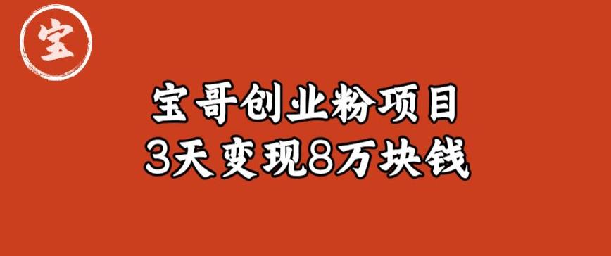 宝哥IP图文创业粉引流项目实战分享：单个账号3天涨粉1万，变现8万块钱（图文教程）【揭秘】-瀚海资源库