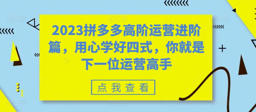 2023拼多多高阶运营进阶篇，用心学好四式，你就是下一位运营高手-瀚海资源库