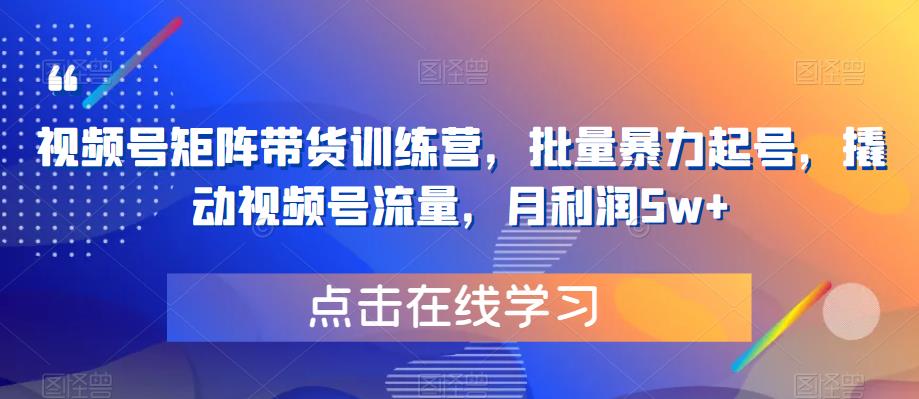 视频号矩阵带货训练营，批量暴力起号，撬动视频号流量，月利润5w+-瀚海资源库