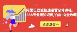 阿里巴巴诚信通运营必修课程，​1688专业级知识库/白皮书/全攻略-瀚海资源库
