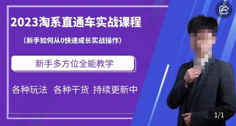 2023淘系直通车保姆式运营讲解，新手如何从0快速成长实战操作，新手多方位全能教学-瀚海资源库