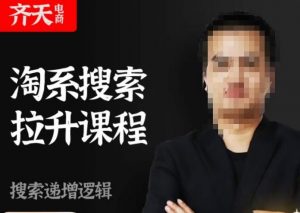 齐天电商·淘系搜索提升课程，​搜索递增标准化，动销标准化流程-瀚海资源库