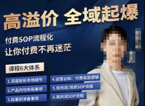 逸风-拼多多高溢价全域起爆，6大课程体系，付费玩法全套实操-瀚海资源库