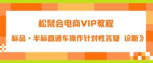 松鼠会电商VIP教程：松鼠《付费推广标品·半标直通车操作针对性答疑&诊断》-瀚海资源库