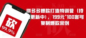 拼多多爆款打造特训营(持续更新中),199元*100套可复制爆款案例-瀚海资源库