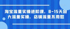 淘宝流量实操进阶课，8-15天放大流量实操，店铺流量不用愁-瀚海资源库