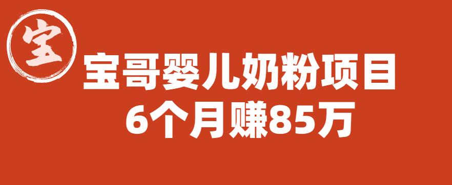 宝哥婴儿奶粉项目，6个月赚85w【图文非视频】【揭秘】-瀚海资源库