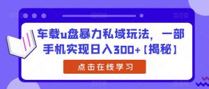 车载u盘暴力私域玩法,一部手机实现日入300+【揭秘】-瀚海资源库
