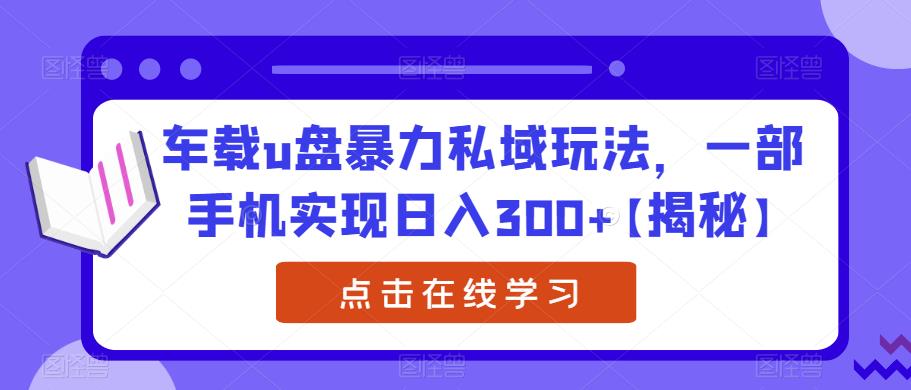车载u盘暴力私域玩法，一部手机实现日入300+【揭秘】-瀚海资源库