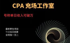 cpa充场工作室,号称单日收入10000+(揭秘)-瀚海资源库