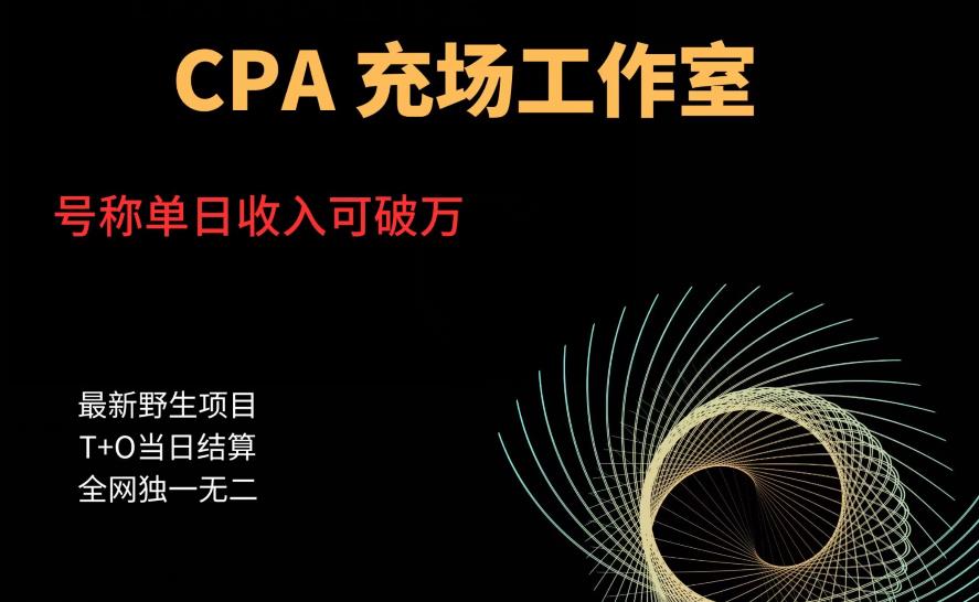 cpa充场工作室，号称单日收入10000+（揭秘）-瀚海资源库