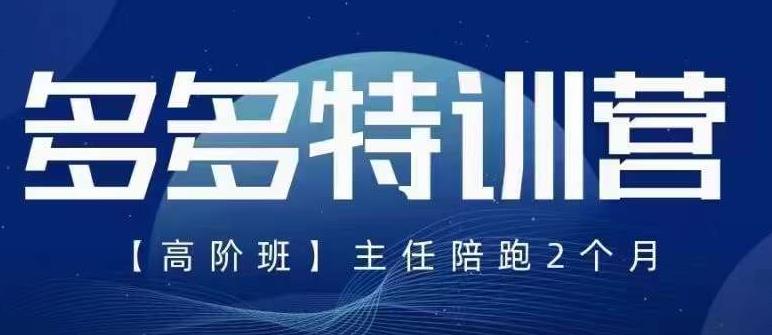 纪主任·5月最新多多特训营高阶班，玩法落地实操，多多全掌握-瀚海资源库