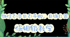 微信互推圈半自动引流方案，矩阵操作日引千人思路【详细视频教程】-瀚海资源库