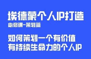埃德蒙普通人都能起飞的个人IP策划课，如何策划一个优质个人IP-瀚海资源库